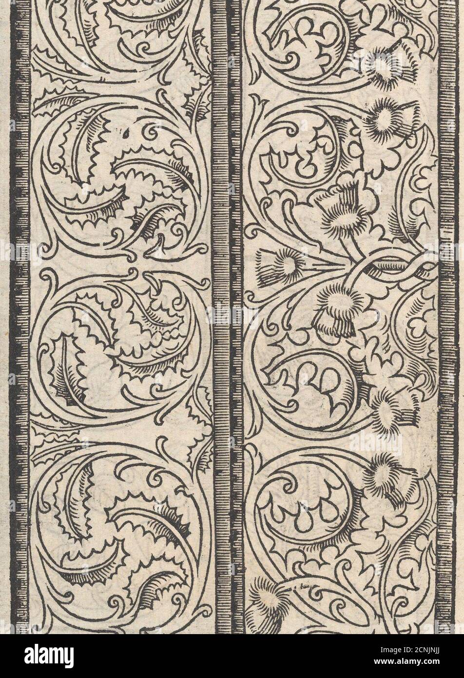 Seite von Ein neues kunstlich Modelbuch ... (Seite 14 v), 1544. Stockfoto