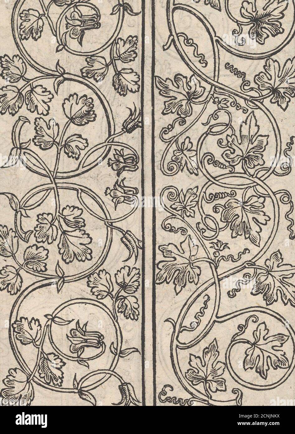 Seite aus einem neuen kunstlich Modellbuch...(Seite 15r), 1544. Stockfoto