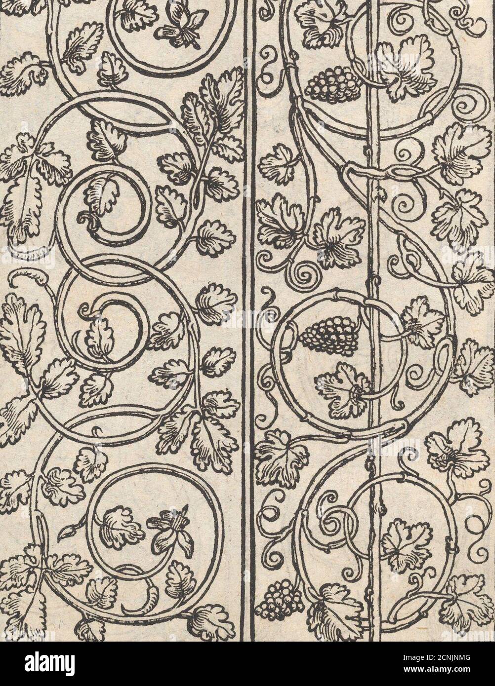 Seite aus einem neuen kunstlich Modellbuch...(Seite 15v), 1544. Stockfoto