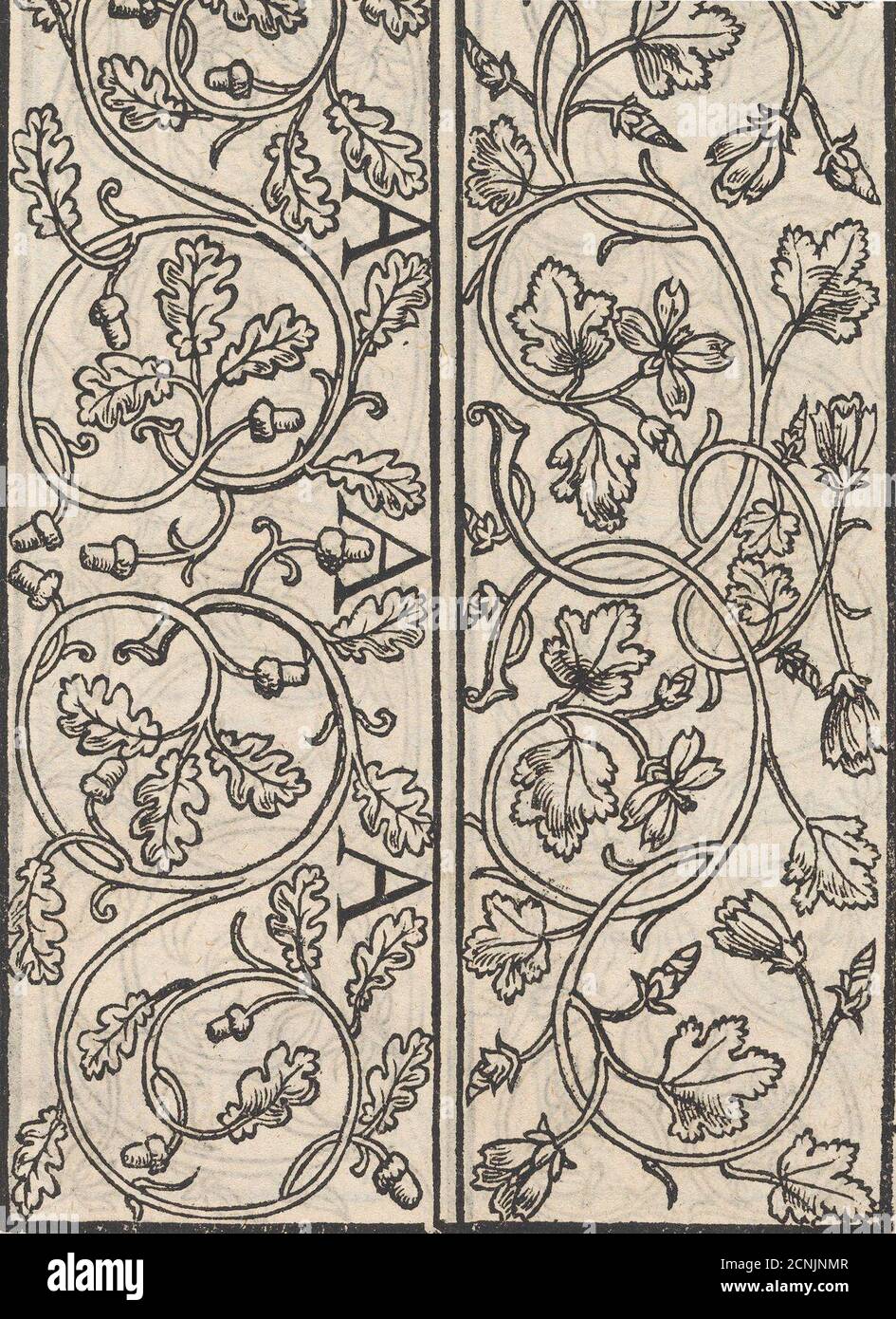 Seite aus einem neuen kunstlich Modellbuch...(Seite 16r), 1544. Stockfoto