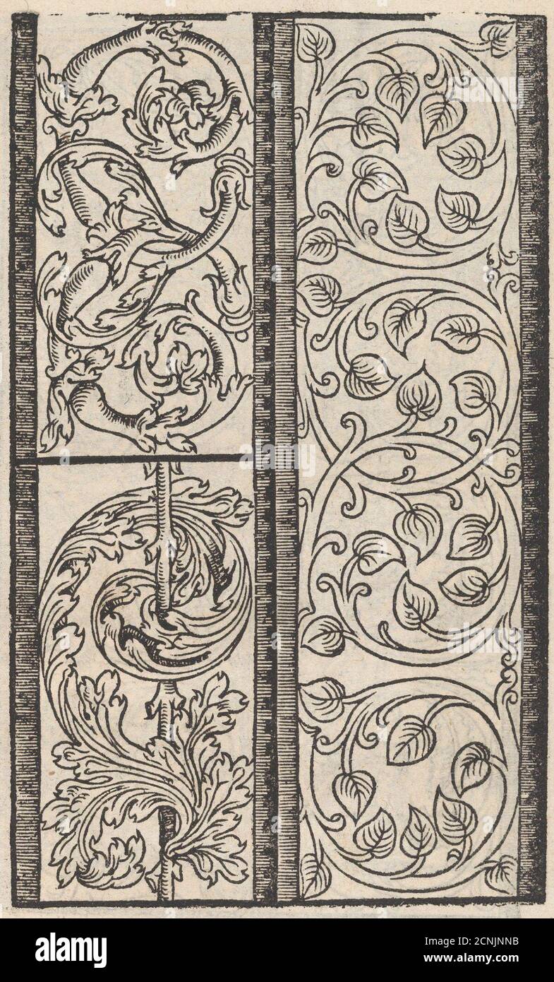 Seite aus einem neuen kunstlich Modellbuch...(Seite 14r), 1544. Stockfoto