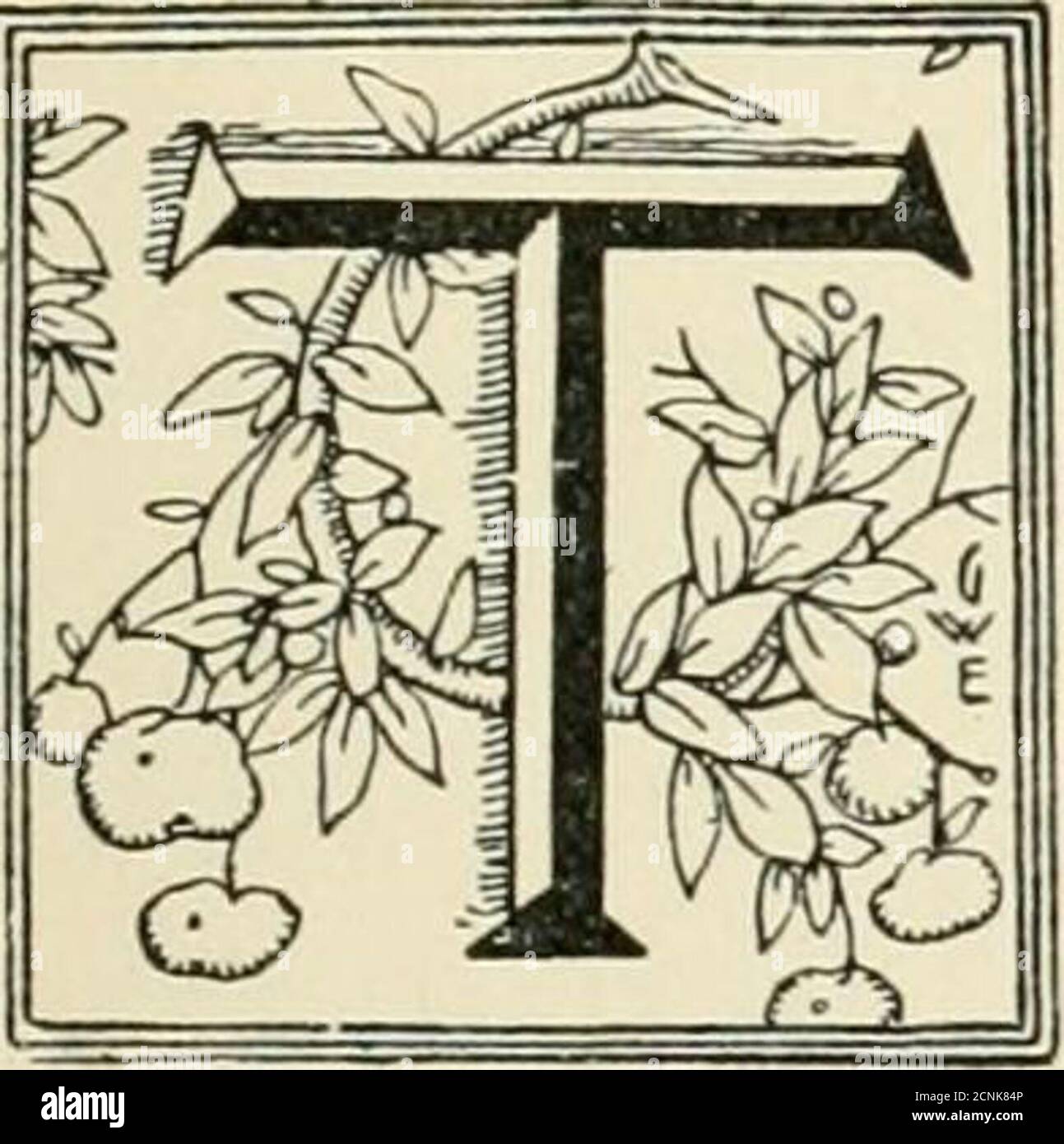 . Das Jahrhundert Buch der berühmten Amerikaner: Die Geschichte von einer jungen Menschen Wallfahrt zu historischen Häusern. MOUNT VERNON IN 1796. DAS JAHRHUNDERT BOOKOF BERÜHMTE AMERIKANER. KAPITEL I IN BOSTON STADT der Geburtsort von Franklin - die Geschichte von James Otis - Tories und Verräter - die Webster Gebäude - die Samuel Adams Tablet - o der Vater der Revolution - EIN Roman Pilgerfahrt. HEY hatte das Old South Meeting-Haus mit seinen revo-lutionary Reliquien verlassen, und waren langsam auf der sunnyside der Milchstraße schlendern, als Jack seinen Onkel Arm ergriff. Schaut dort hinüber, Onkel Tom! Er weinte. Sehen Sie, was es auf diesem Gebäude sagt Stockfoto