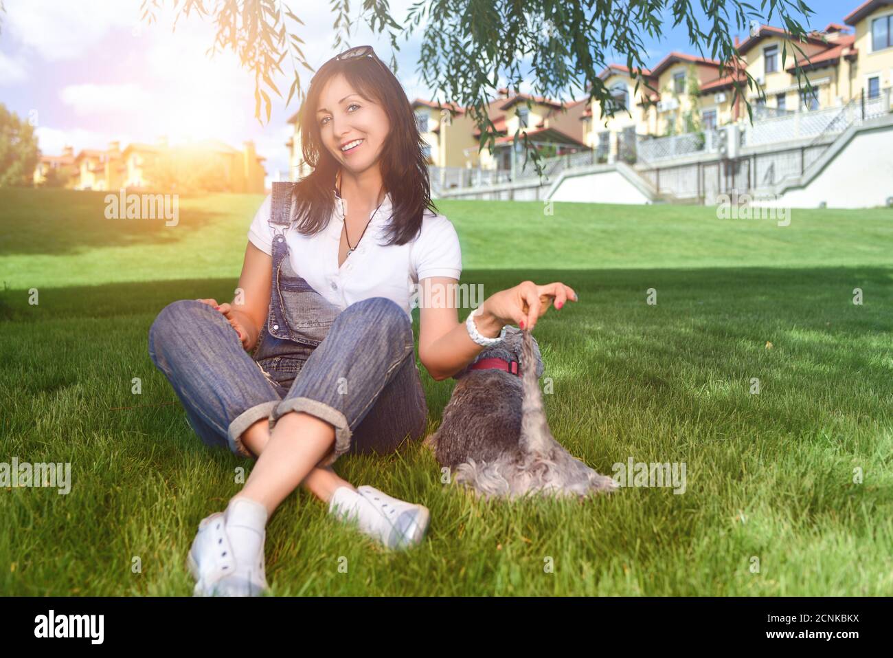 Kaukasische fröhliche Frau spielt mit ihrem geliebten Hund im Park. Das Konzept der Liebe zu Tieren. Beste Freunde. Hunderasse Schnau Stockfoto