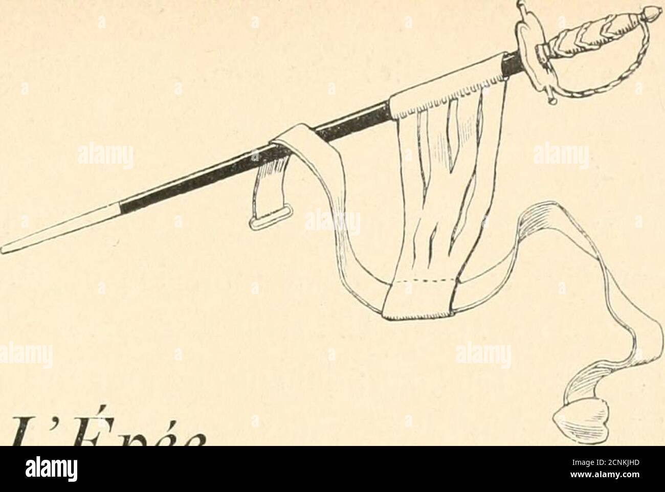 . L'ami des enfants . Sion de deux louis dor pour lavoir délivré dun défaut si insuppor-table. FRAU DE VALENCE. – et uiol, je lui cu fais unc de la mùuie sommepour avoir conservé mon fils. ibô LA VANITÉ PUNIE MATTHIEU. – Si VOUS me payez pour le plaisir que vous avez, il faudraitdonc que je vous payasse aussi, de mon côté, pour celui que jai eu. Ainsi,quitte à quitte. HERR DE VALENCE. - nicht, mou Petit ami, nous ne reviendrons pas surnotre parole. Mais nous allons déjeuner tous les quatre Ensemble. Valentinnous racontera ses aventures nocturnes. VALENTIN. – Oui, mou Papa, et je ne mépargnerai po Stockfoto