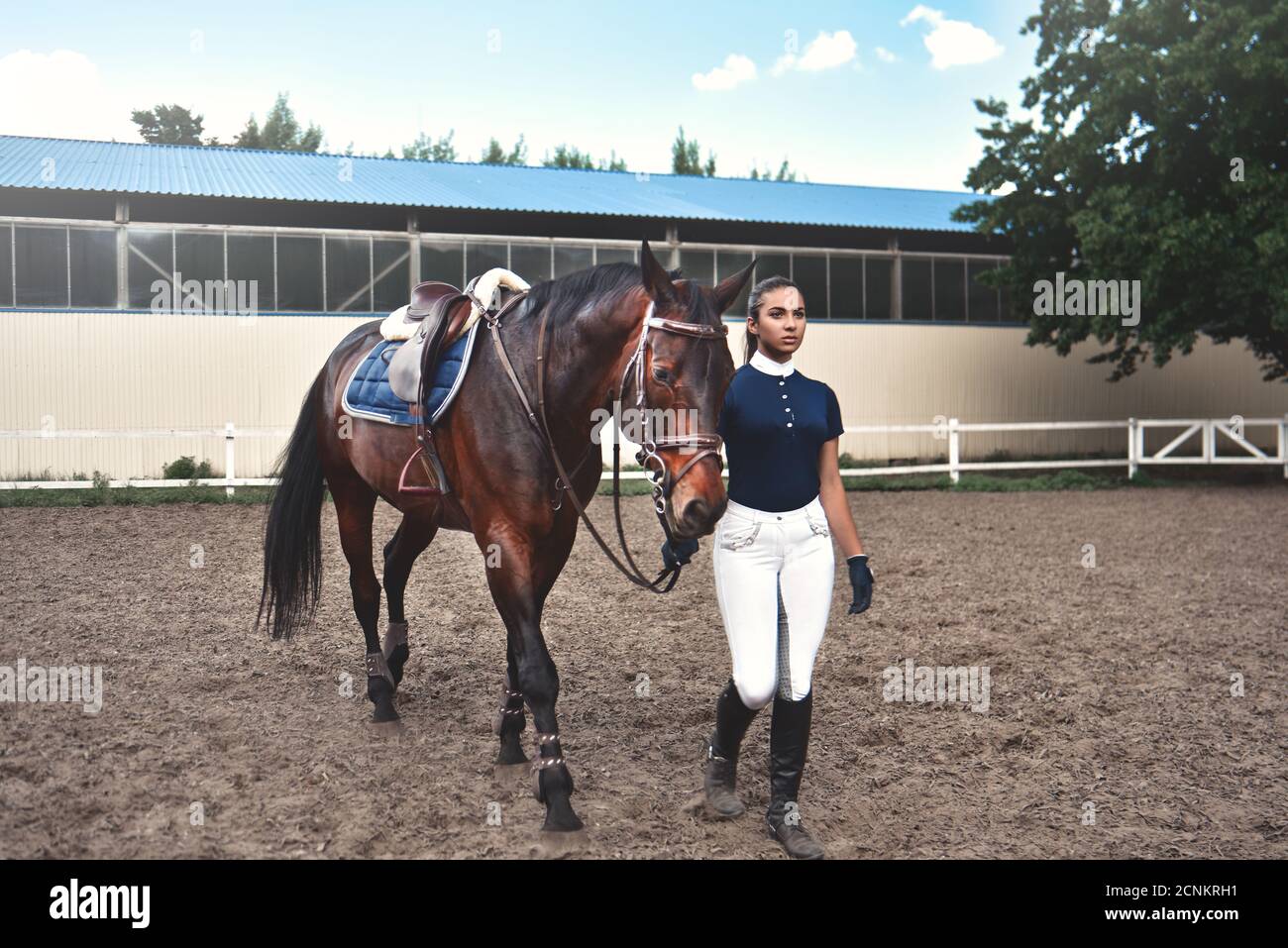 Junges Mädchen führt ihr Pferd zum Training und zur Vorbereitung Für die Hippodrome-Rennen Stockfoto