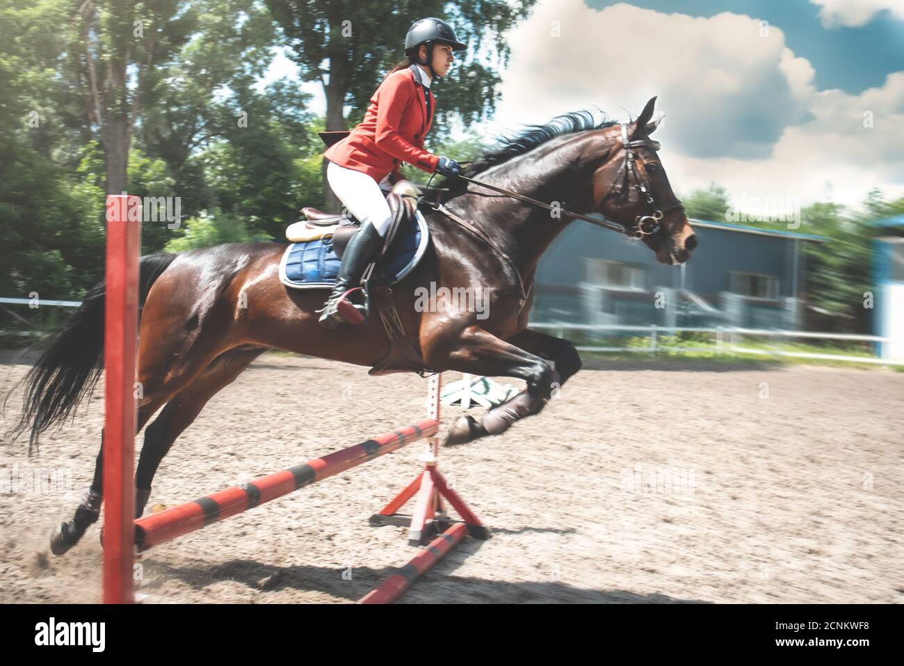 Junge weibliche Jockey auf Pferd springt über Hürde. Reiten Stockfoto