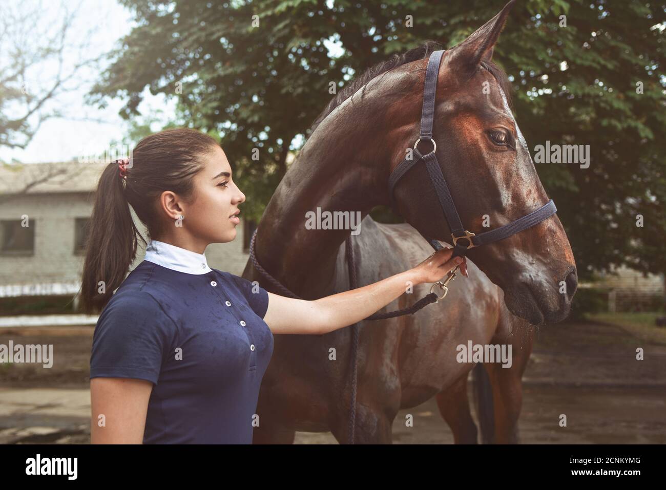 Ein junges Mädchen spricht und kümmert sich um ihr Pferd. Sie liebt die Tiere und verbringt freudig ihre Zeit in ihrer Umgebung. Liebe Stockfoto