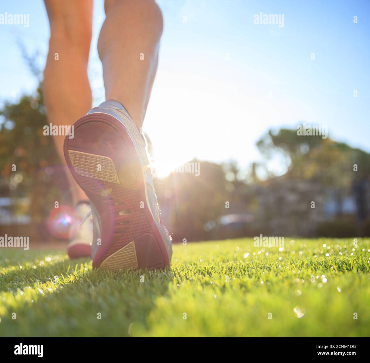 Weibliche Outdoor Fitness Jogging und Trainingskonzept, gesunder Lebensstil. Frau Athlet Läufer Füße laufen auf dem Gras, Nahaufnahme auf Schuhen. Stockfoto