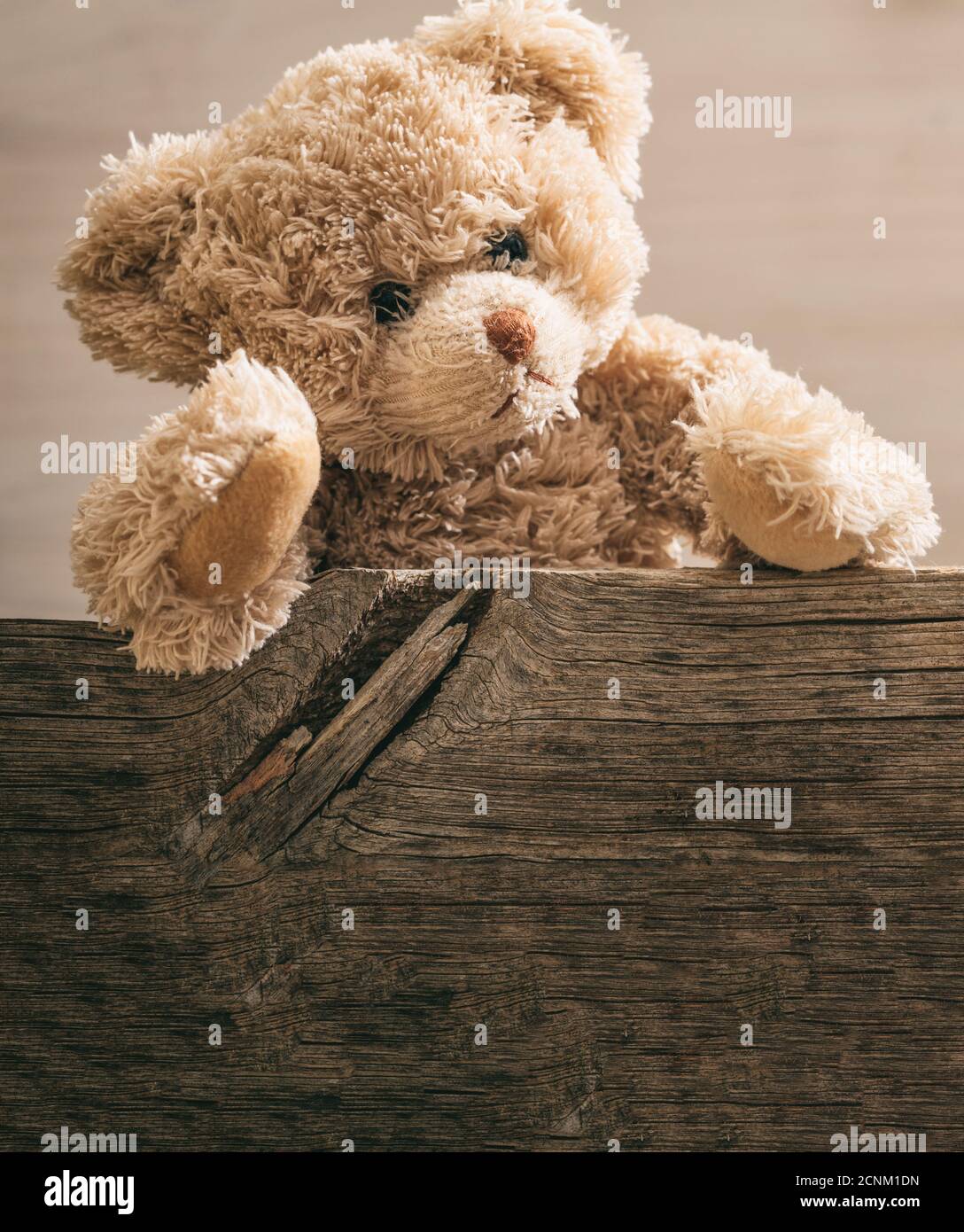 Teddybär hinter einem Holzbrett, Kartenvorlage. Allein traurig Kind, Kindesmissbrauch Konzept Stockfoto