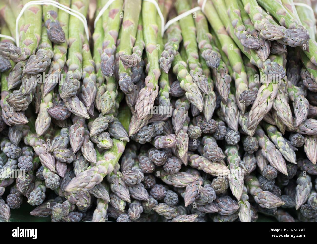 Frisch geernteter grüner Spargel auf dem Markt, Gemüse und gesunde Ernährung Stockfoto