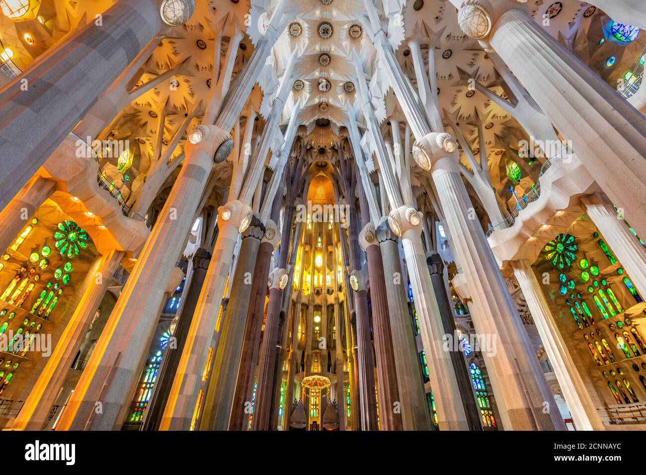 Niedrige Ansicht der Decke im Kirchenschiff, Sagrada Familia, Barcelona, Katalonien, Spanien Stockfoto