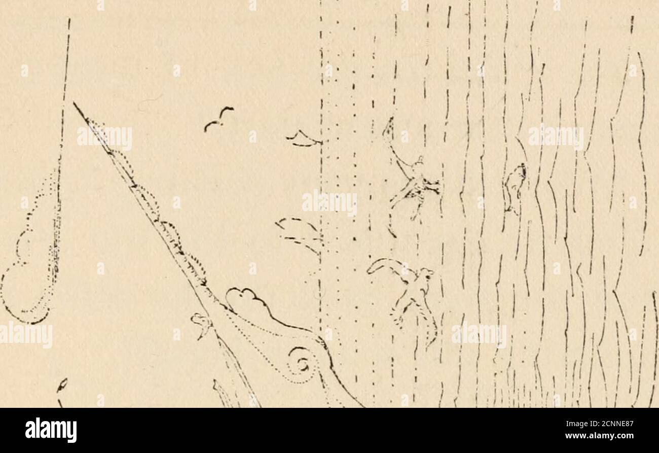 . Die Geschichte von Doktor Dolittle, die Geschichte seines eigenartigen Lebens zu Hause und erstaunliche Abenteuer in fremden Teilen. Die Rollläden, sie schlossen die 34 die Geschichte von Doktor Dolittle Haus und gab den Schlüssel zu dem alten Pferd vollgegliedert in den Stall. Und als sie das Meer hatten, dass es viel Heu auf dem Dachboden gab, um das Pferd durch den Winter zu schleppen, trugen sie ihr ganzes Gepäck zum Meer und stiegen auf das Boot. Der Katzen-Fleisch-Mann war da, um sie zu sehen; und er brachte einen großen Suet-Pudding als Apresen für den Doktor, weil, sagte er, er sei gesagt worden, man konnte nicht Suet-Pudding in f bekommen Stockfoto