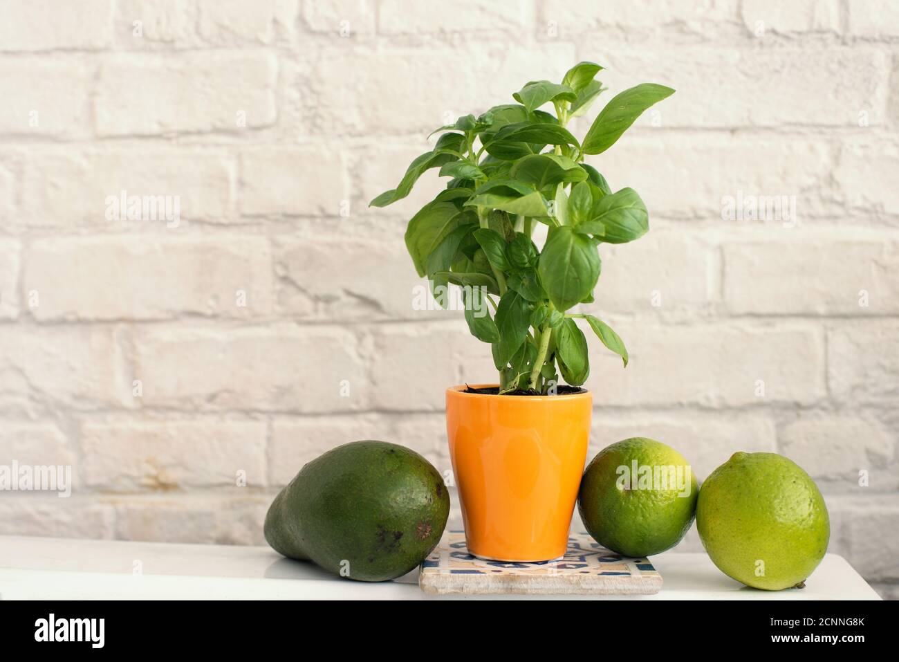 Basilikum, Avocado und Limetten auf einem Tisch Stockfoto