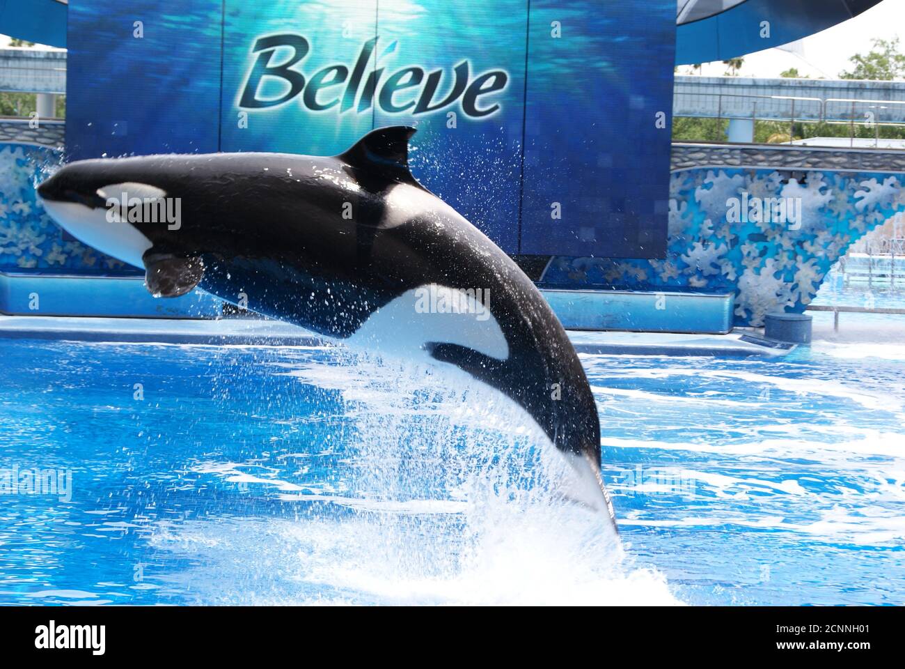 Mein Urlaub in Florida - Seaworld Orlando Stockfoto