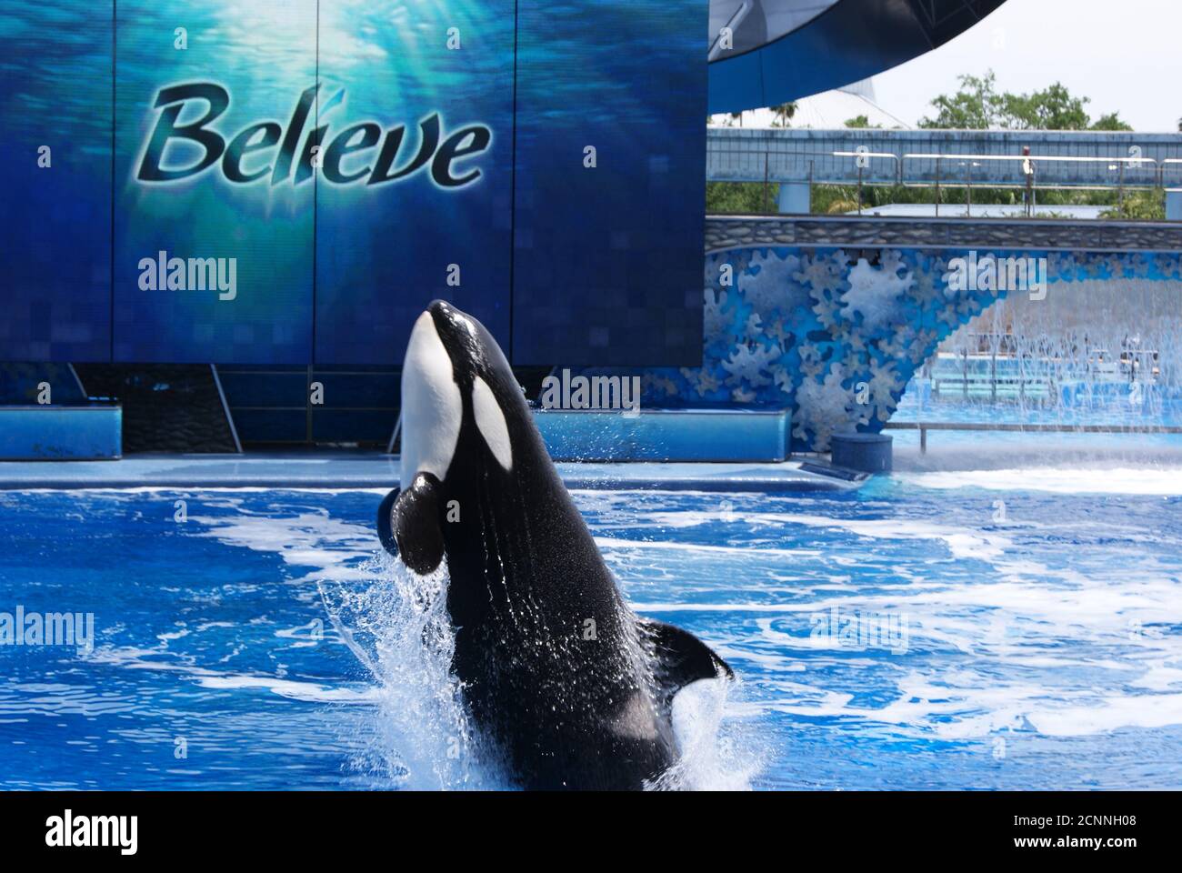 Mein Urlaub in Florida - Seaworld Orlando Stockfoto