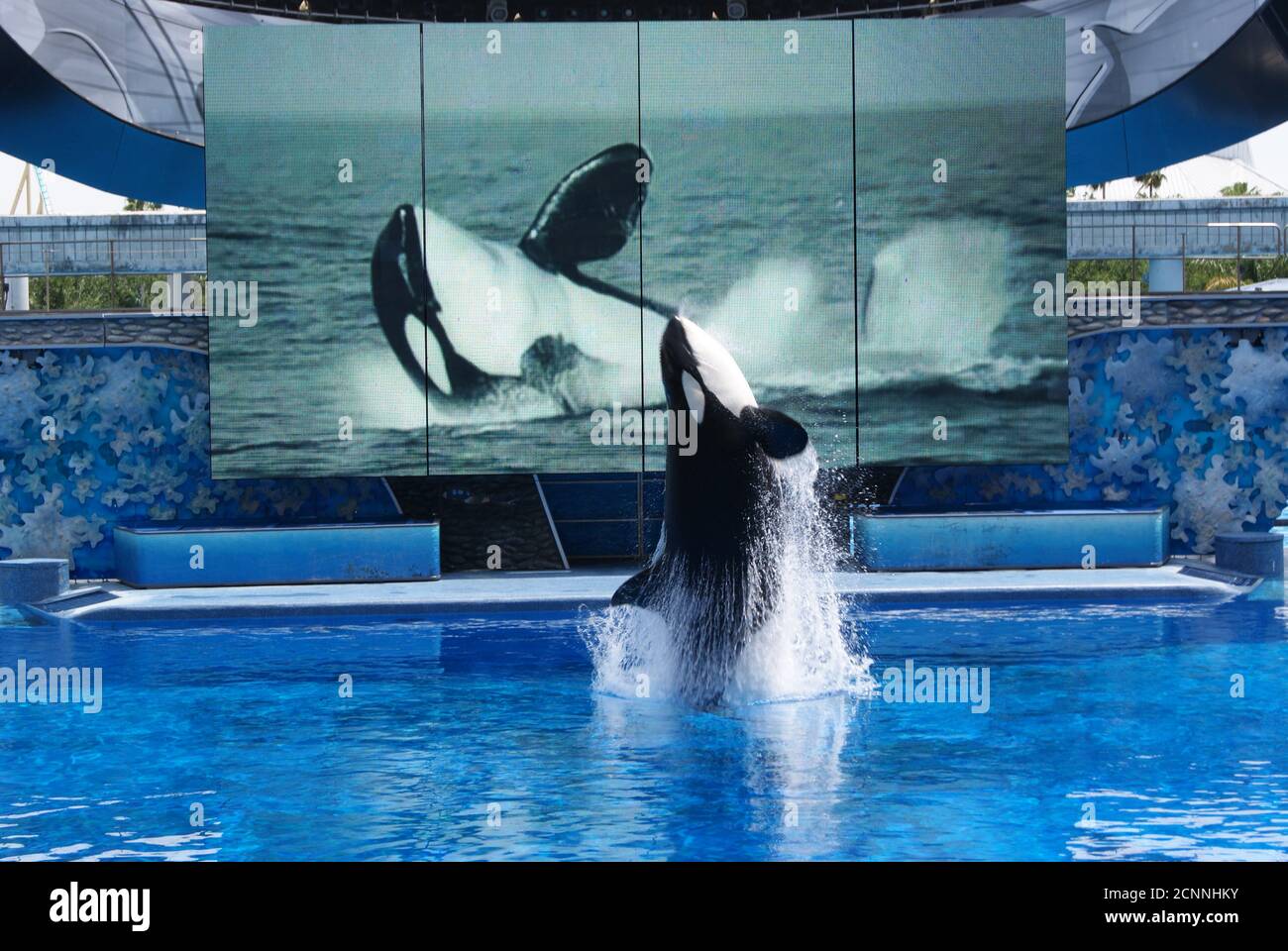 Mein Urlaub in Florida - Seaworld Orlando Stockfoto