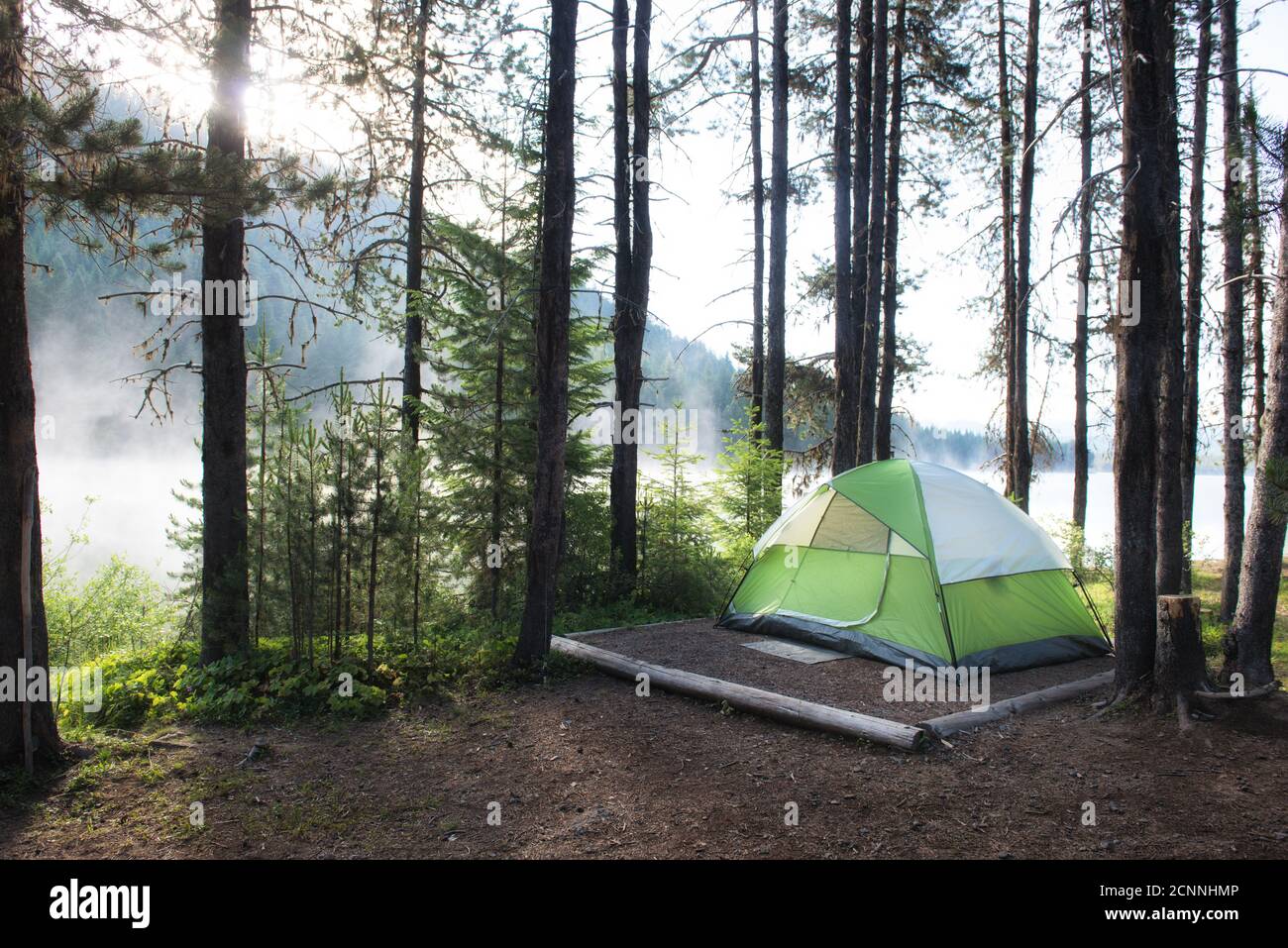 Zelt auf einem Campingplatz am Lemolo Lake in Morning Mist, Umpqua National Forest, Oregon, USA Stockfoto