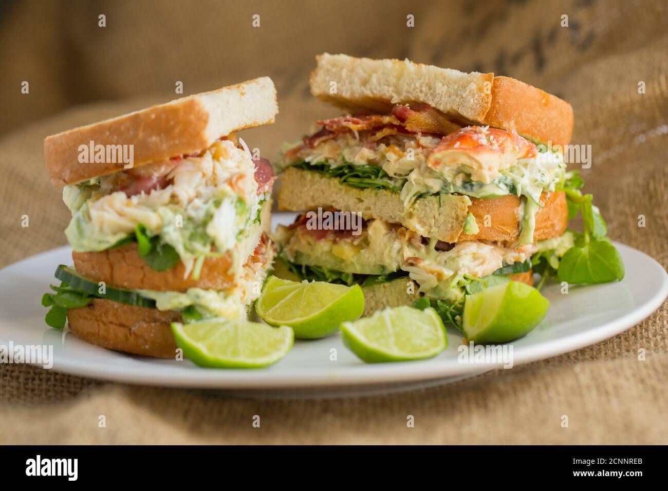 Ein Krabbenbrot auf geröstetem Brot aus einer braunen Krabbe, Krebs Pagurus, gekleidet mit Mayonnaise, Limette, Dill, Avocado, Salat und knusprig geräuchertem Speck. Stockfoto