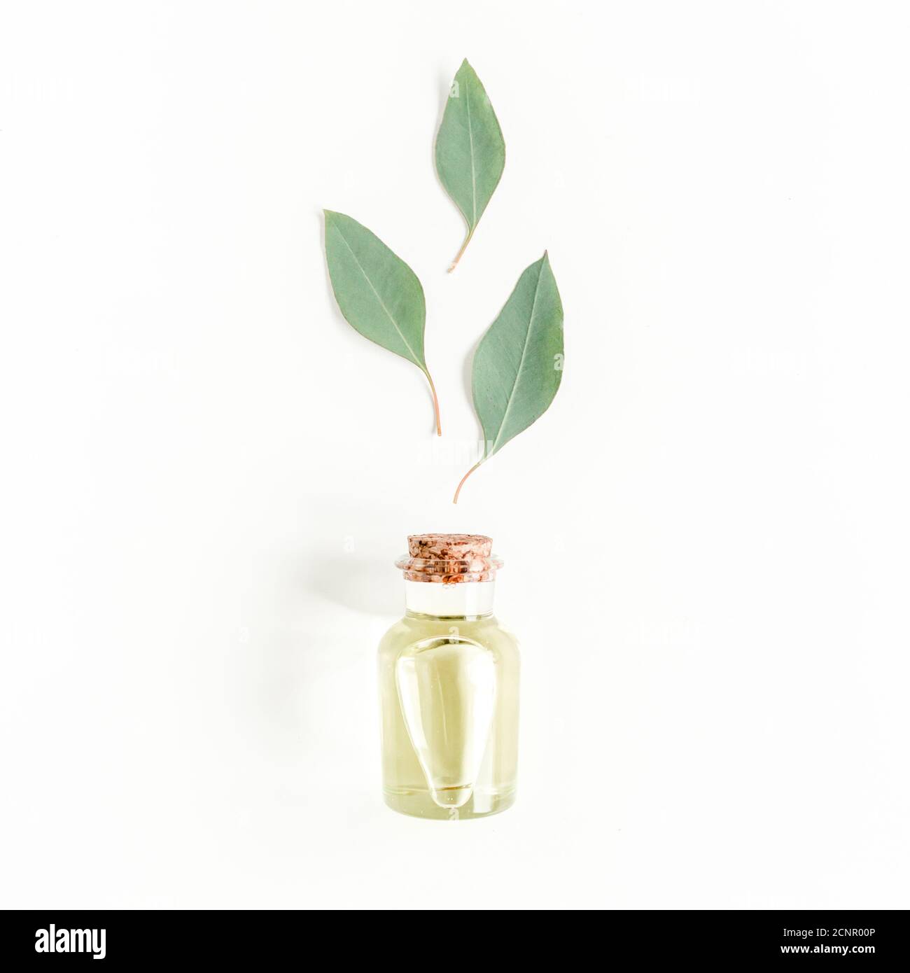 Flasche ätherisches Eukalyptus-Öl, Eukalyptusblätter auf weißem Hintergrund. Natürliche Bio-Kosmetikprodukte. Flach liegend, Draufsicht. Stockfoto