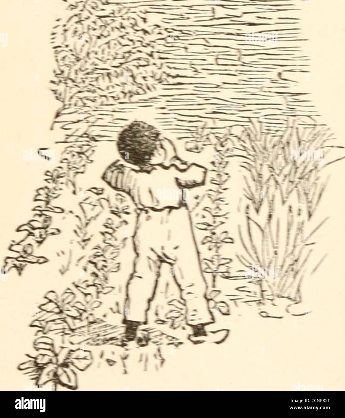 . Jackanapes. Daddy Darwins Taubenkot. Die Geschichte eines kurzen Lebens . •^ J V – , - :•;& ATHERLESS – Mutter-los – obdachlos . Ein kleiner Arbeiterjunge. Mit einem swarthyface und ordentlich-kroppedschwarzen Haar, so kurz und dick wie das Fell eines Maulwurfs. w;.s Rodung, nicht ganz so clever.yas ein Maulwurf, im Werkhausgarten. Er war eingestellt worden, um• e b ut das Unkraut in j o w;.; sehr unregelmäßig durchgeführt, für seine Augen und hören: Waren in den :s, wie er sie über die Bisr o boundarv Wand sehen konnte. Für » dort – jetzt dunkel ag;.:::s: Die weißen, jetzt wieder weiß-:die grauen – einige Air Tumbler Tauben waren turningsummersaults auf ihrem ho Stockfoto