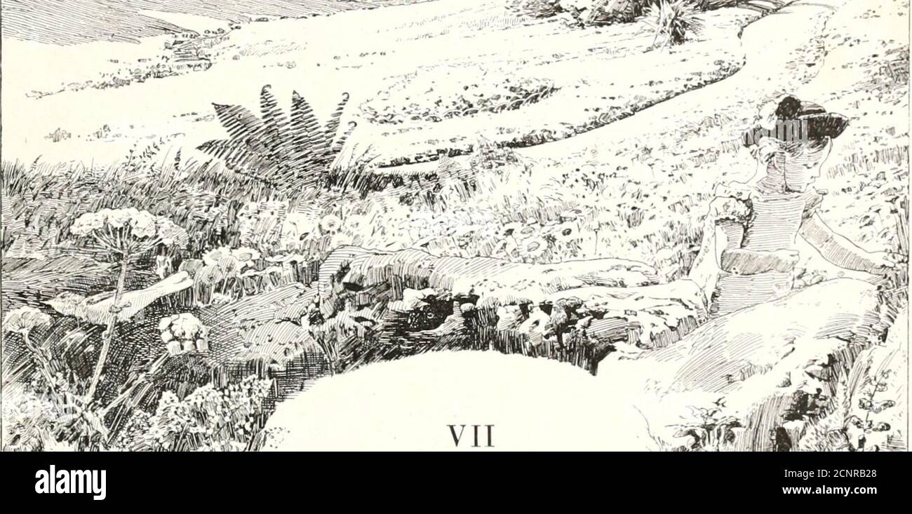 . La Journee De Petit Jean . ;ï<îc1t-= ,. I ^>L> A^% ., J(f# I -^^- II fait 1)0.111,1 Air ost 1.1 iiitanKM IW^Ji ^^1 ^ -JF ,^^Çk Mais d,ILH)i(l,iii(«lt(>nssuitabl()iis( ^ .^^ #, Il ^ ^ /T/ ;^ i U [joiiiiasidiasdiasdiasdias (l.iiis 1 Lioihettf ^-^J ^ i ^ * ^ Si liaîfhc FT SI Mnte au m.ilui M ^^ 1.0 Boulon d oder, la pàquei cl le ^^^*^ ^^ tin m c,*1 TU verras courir les bestiolesSous les brins menus du gazon,et tournoyer les mouches folles Dans un rayon.TU verras labeille affairéeSe poser sur toutes les fleursEt, quand elle est désaltérée, Voler ailleurs. TU guetteras sous le fe Stockfoto