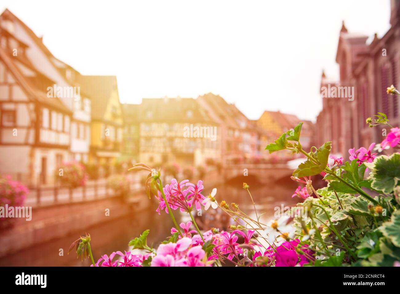 Unschärfer Hintergrund mit landschaftlich reizvoller französischer Altstadt-Architektur und Wasserkanal. Blick auf verschwommenes Colmar Dorf mit Blumen im Vordergrund. Elsass, Stockfoto