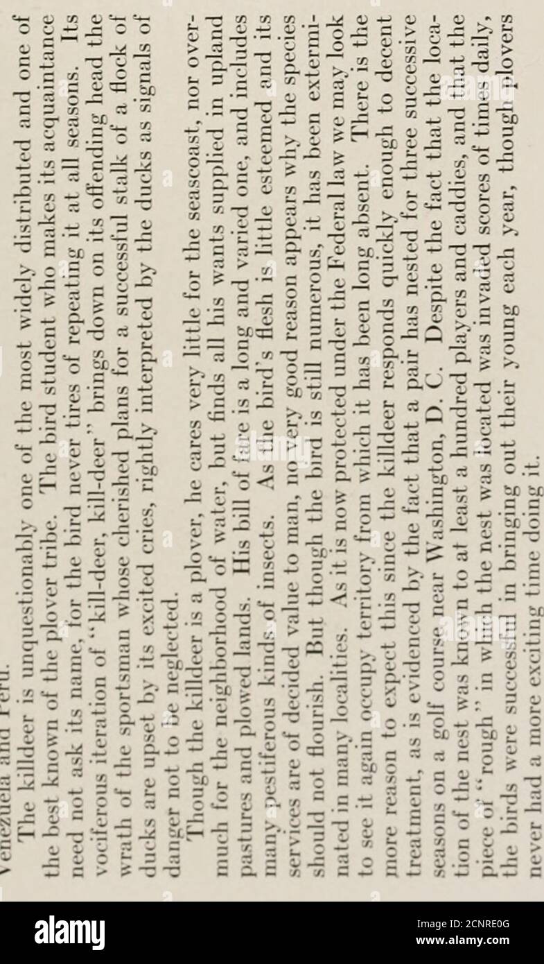 Das Buch Der Vogel Gemeinsame Vogel Von Stadt Und Land Und Amerikanische Wildvogel C 2 3 0 Ji 5 3 Bis C Z Gt