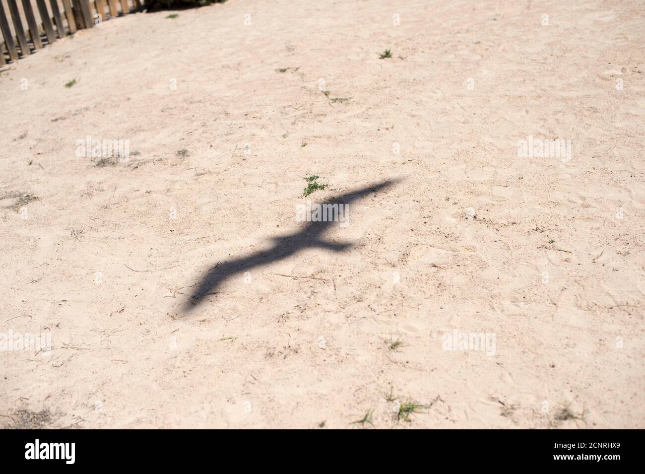 Ibiza, Grand Palladium Palace Ibiza Resort & Spa, Balearen, Sand, Möwe, Schatten Stockfoto