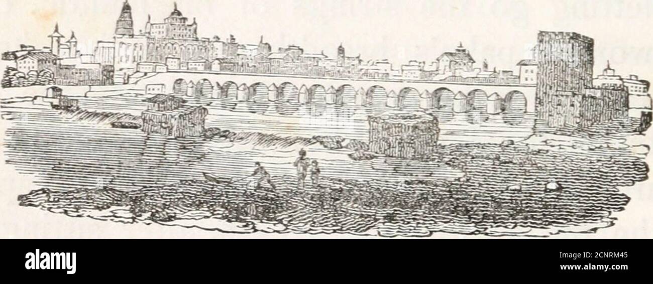 Beschnittene scheide