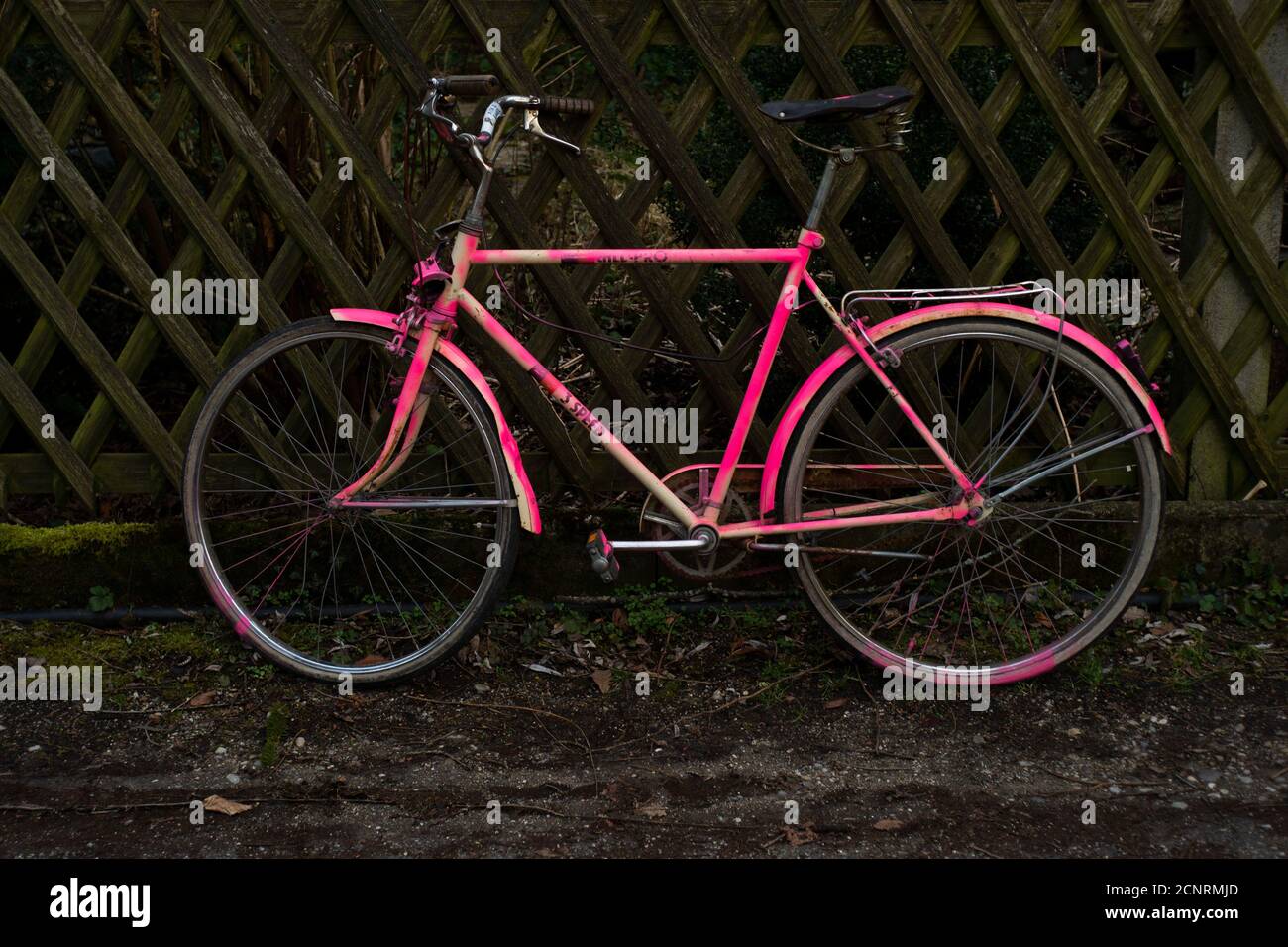 Rosa Fahrrad lehnt an einen Zaun Stockfoto