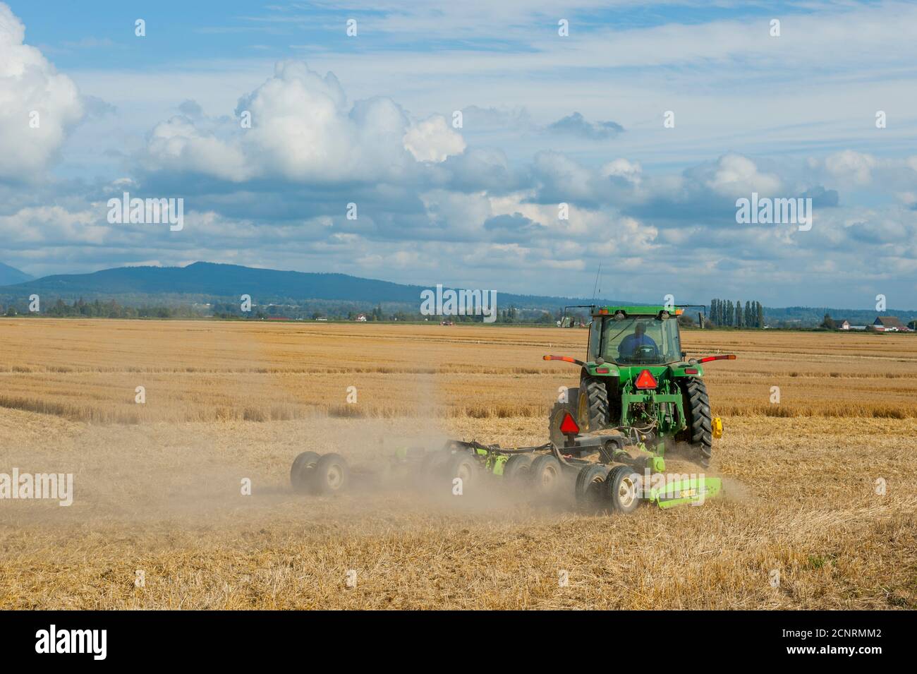 Ein Landwirt erntet Weizen im Skagit Valley in der Nähe von La Conner, Washington State, USA. Stockfoto