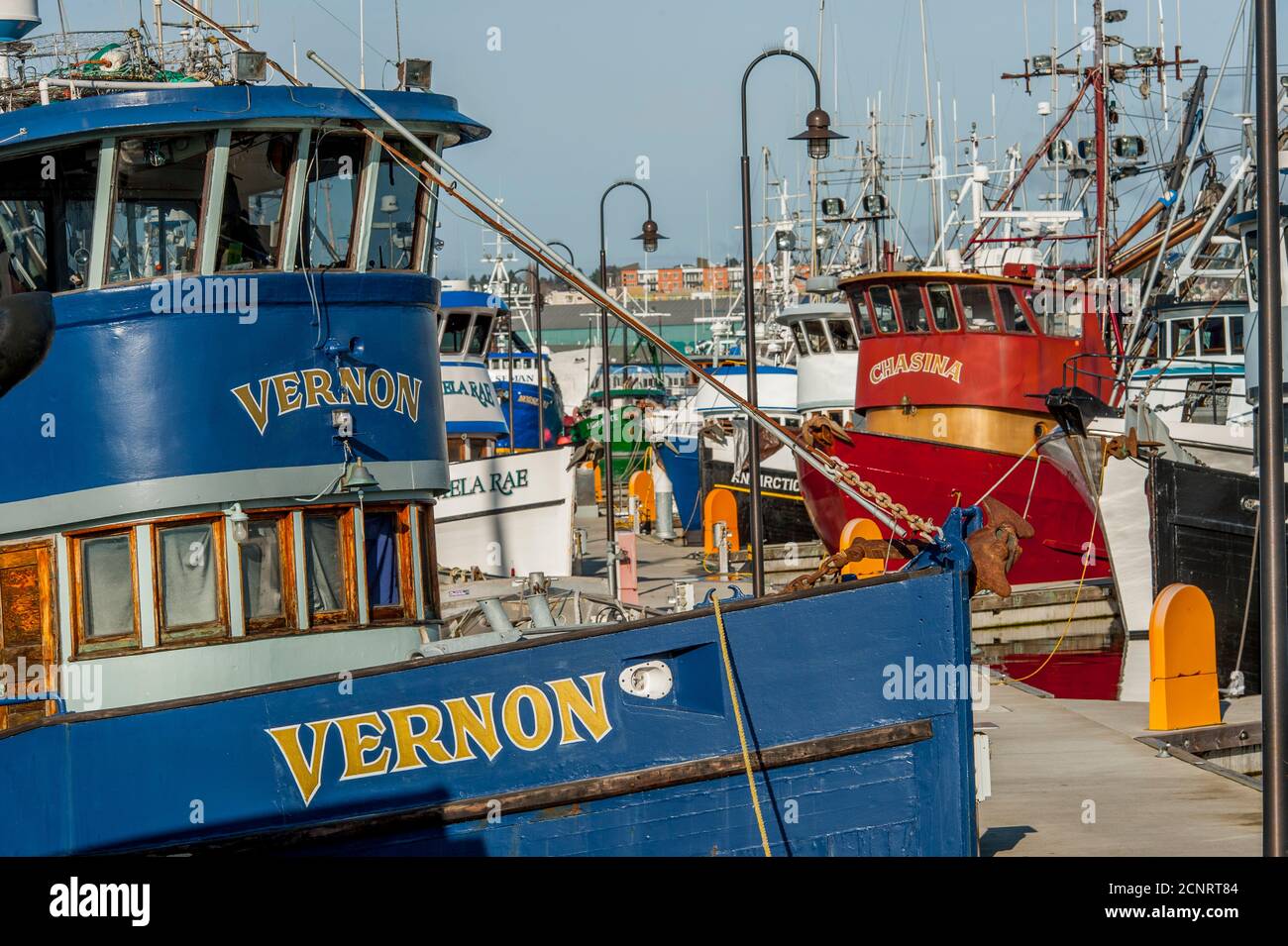 Fischerboote am Fishermens Terminal, dem Heimathafen zur Nordpazifischen Fischereiflotte, in Seattle, Washington State, USA. Stockfoto