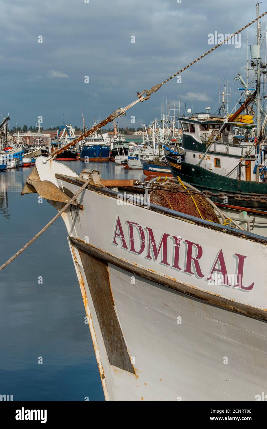 Der Bug eines Fischerbootes am Fishermens Terminal, dem Heimathafen der North Pacific Fishing Fleet, in Seattle, Washington State, USA. Stockfoto