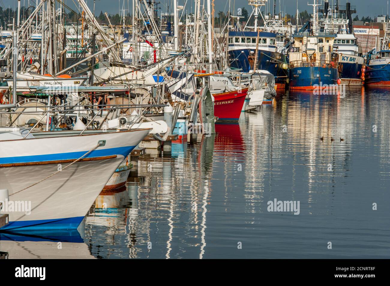 Fischerboote am Fishermens Terminal, dem Heimathafen zur Nordpazifischen Fischereiflotte, in Seattle, Washington State, USA. Stockfoto