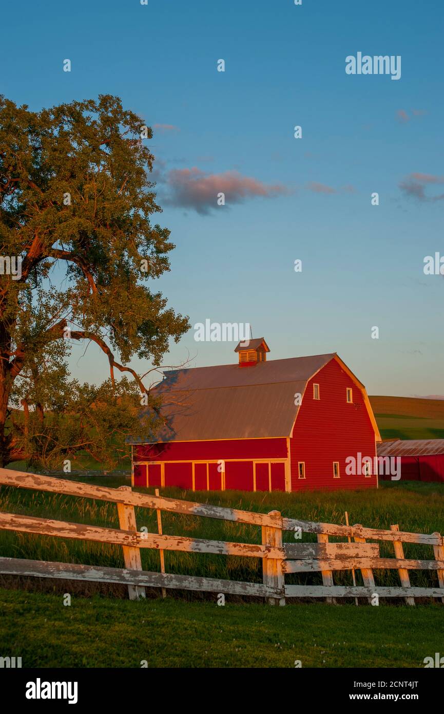 Nordamerika, NORDAMERIKA, USA, VEREINIGTE STAATEN, VEREINIGTE STAATEN VON AMERIKA, STAAT WASHINGTON, Eastern Washington, PALOUSE LAND, Landwirtschaft, LANDWIRTSCHAFT Stockfoto