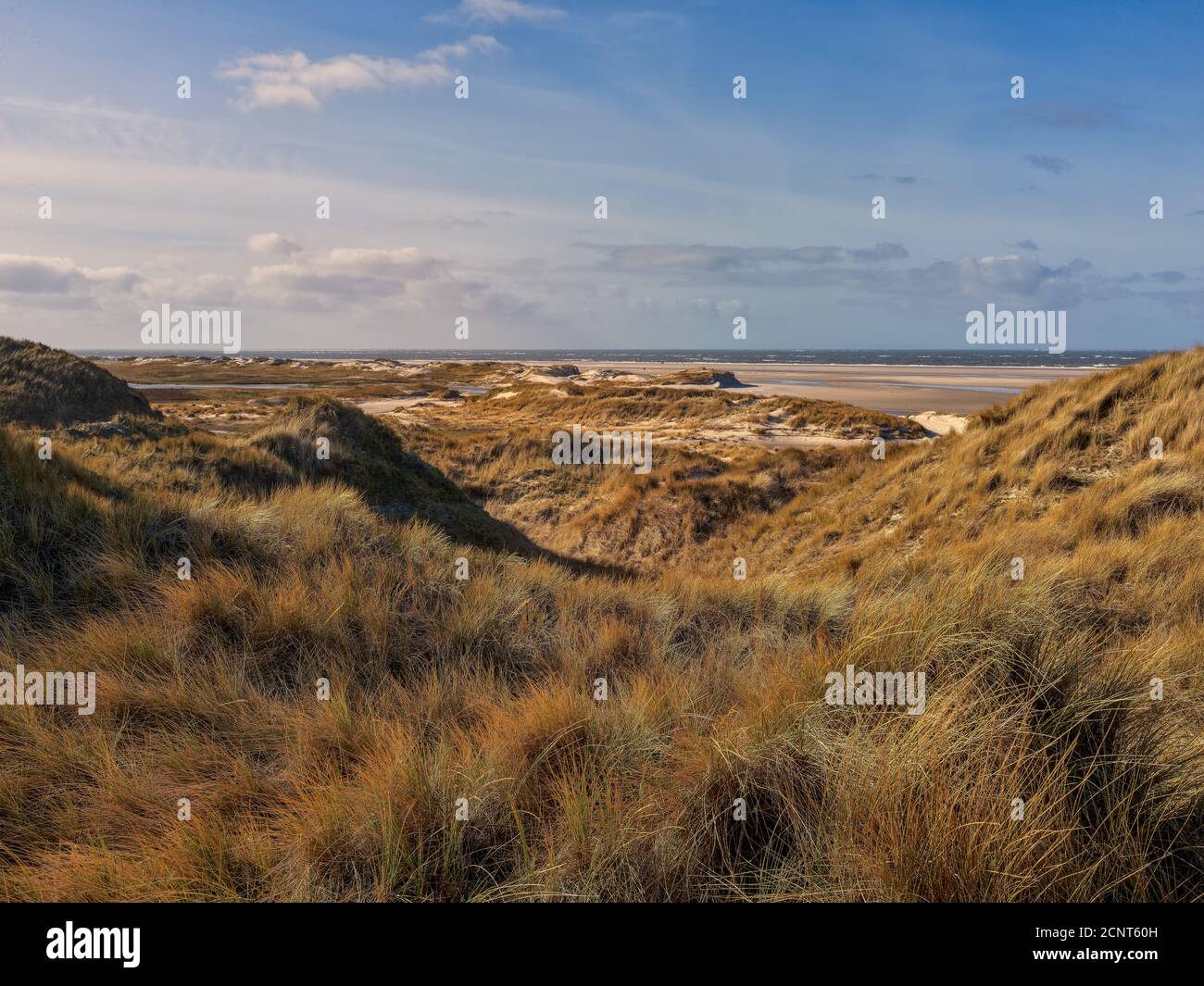 Dünen, Sand, Strand, Sandstrand, Nordsee, Meer, Gezeiten, Sandbank, Strandgras Stockfoto