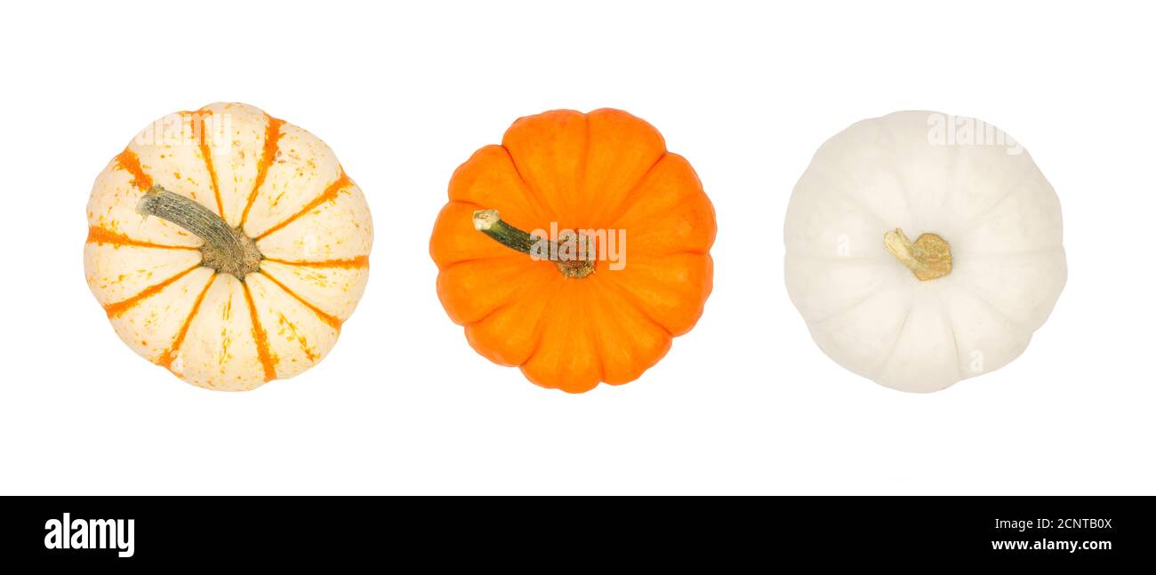 Sortiment von Herbstkürbissen isoliert auf weißem Hintergrund. Draufsicht. Gestreift, orange und weiß. Stockfoto
