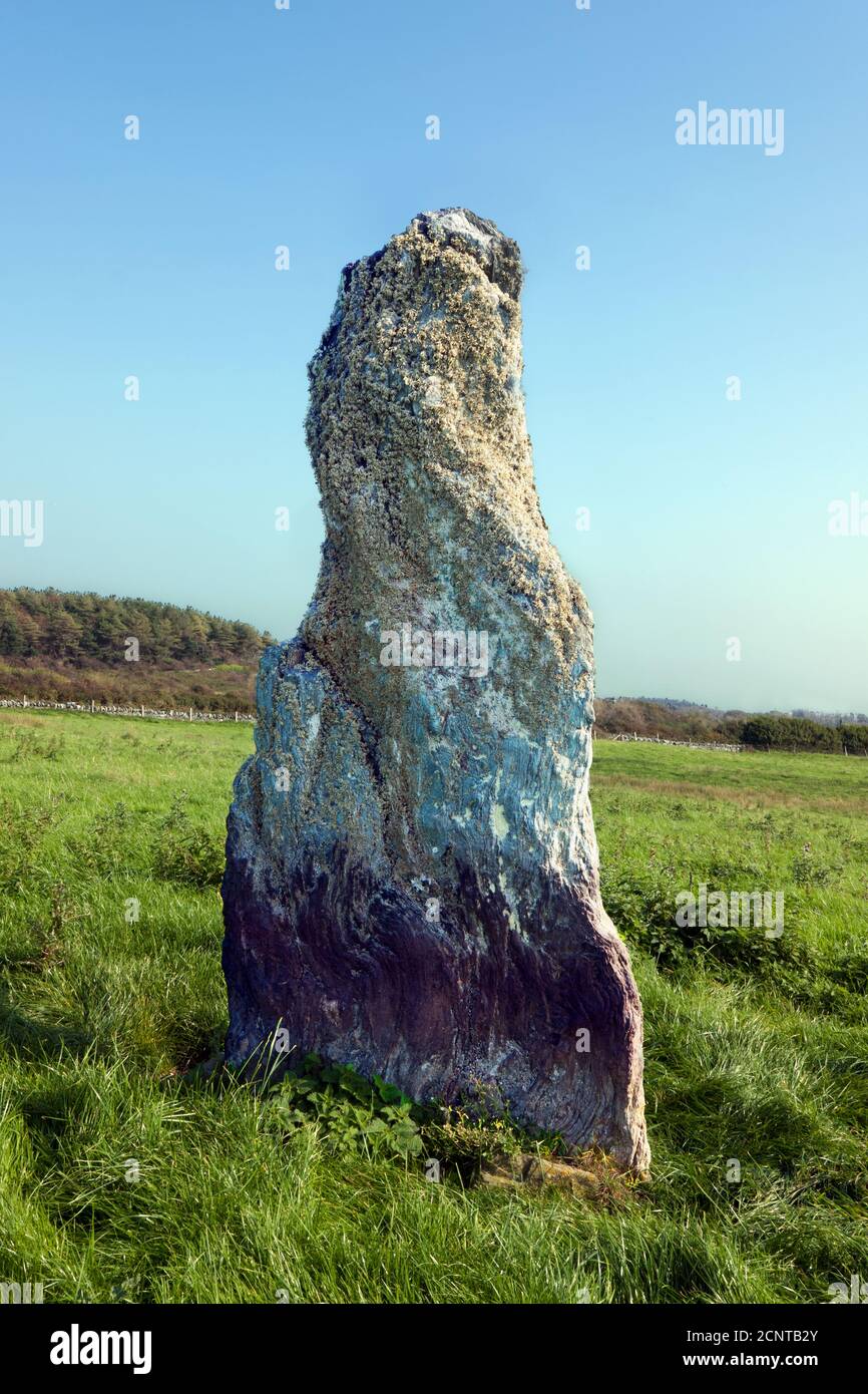 Der seltsam geformte Ty Mawr stehende Stein auf Holy Island, Anglesey, Nordwales, wurde wahrscheinlich während der Bronzezeit errichtet. Stockfoto