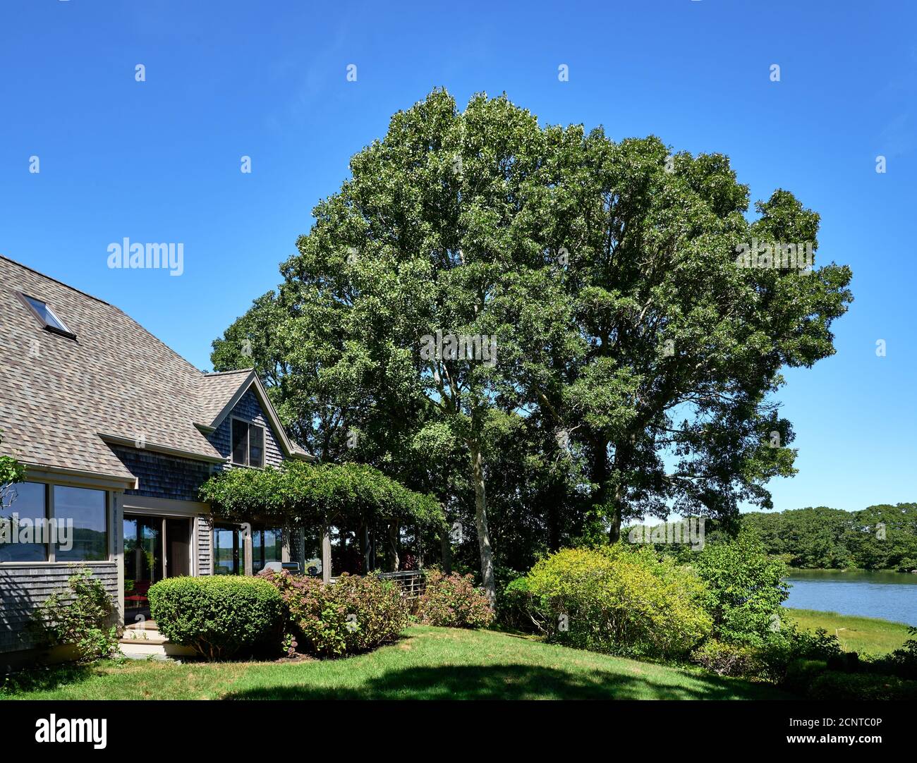 Modernes Schindelhaus und große Eiche am Ufer des Flusses. Schöne Anpflanzungen und Glyzinie Laube umgeben das Haus. Stockfoto