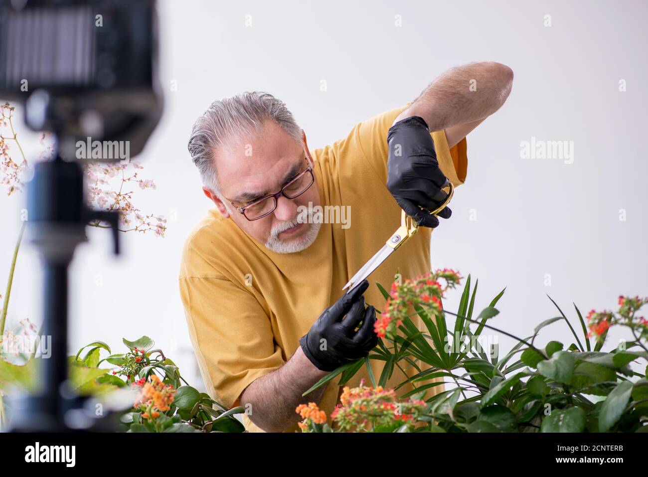 Alter männlicher Gärtner mit Pflanzen zu Hause Stockfoto