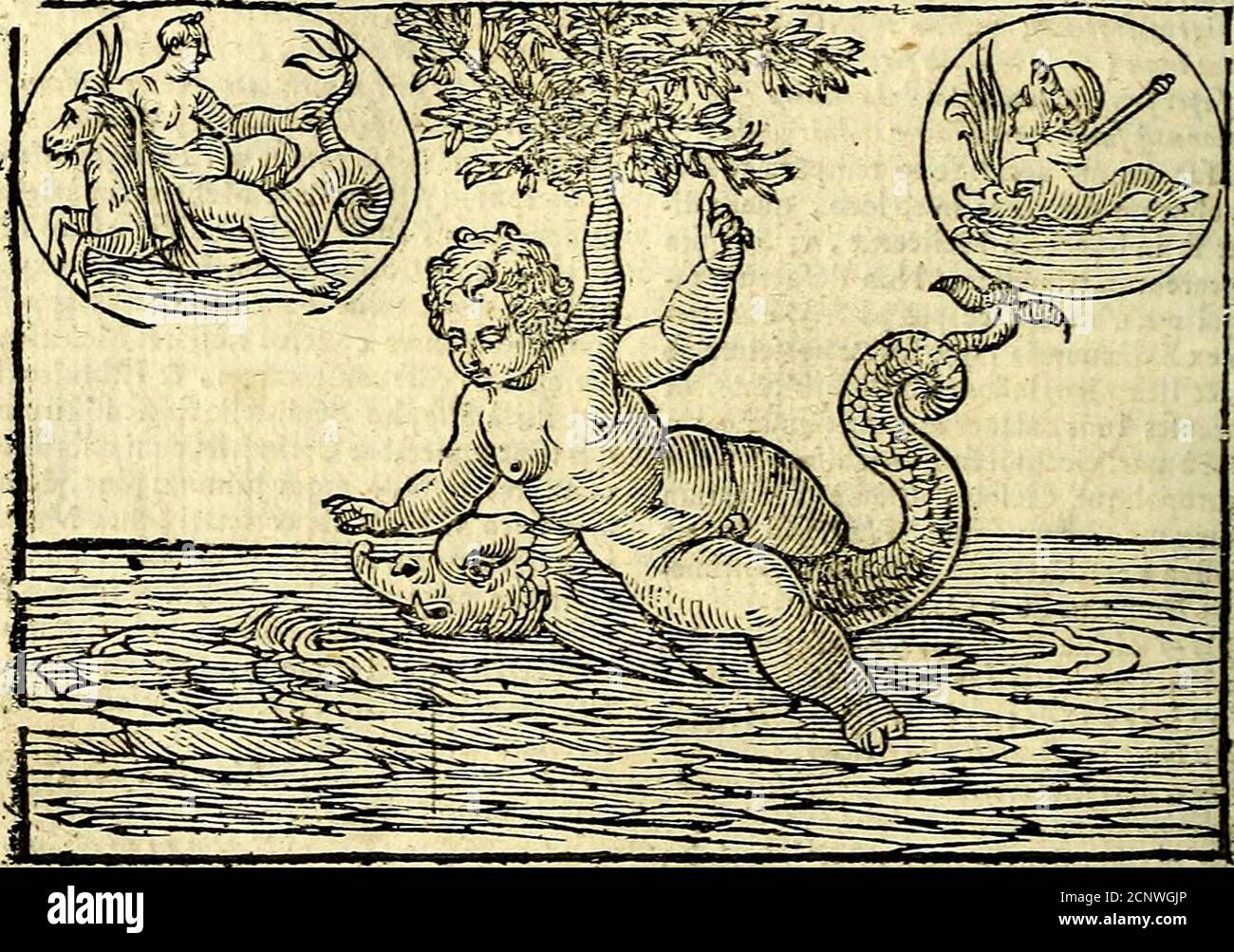 . Natalis Comitis Mythologiae, sive, Explicationis fabularum libri decem : in quibus omnia prope naturalis et moralis philosophiae dogmata in veterum fabulis contenta fuisse perspicuè demonstratur ... : Accessit G. Linocerii Musarum mytholgia, & anonymii obseuationum in totam de dijs gentium narrationem libellus : adiectæ sunt ... editioni elegantissimæ deorum imagines, & eruditissimæ M. Antonij Tritonij Vtinensis .. . ras: SJC etiani Euripid. In Iphigenie in Tauris cuftodem & feruatQrem nauium Palxmonem vo-cauir: q wovTteK 7rouhivKo9at,vicdv Q-Jhnjj£[JLT0T& Tttthaty. v thioc ny.7v yirsFtli m Stockfoto