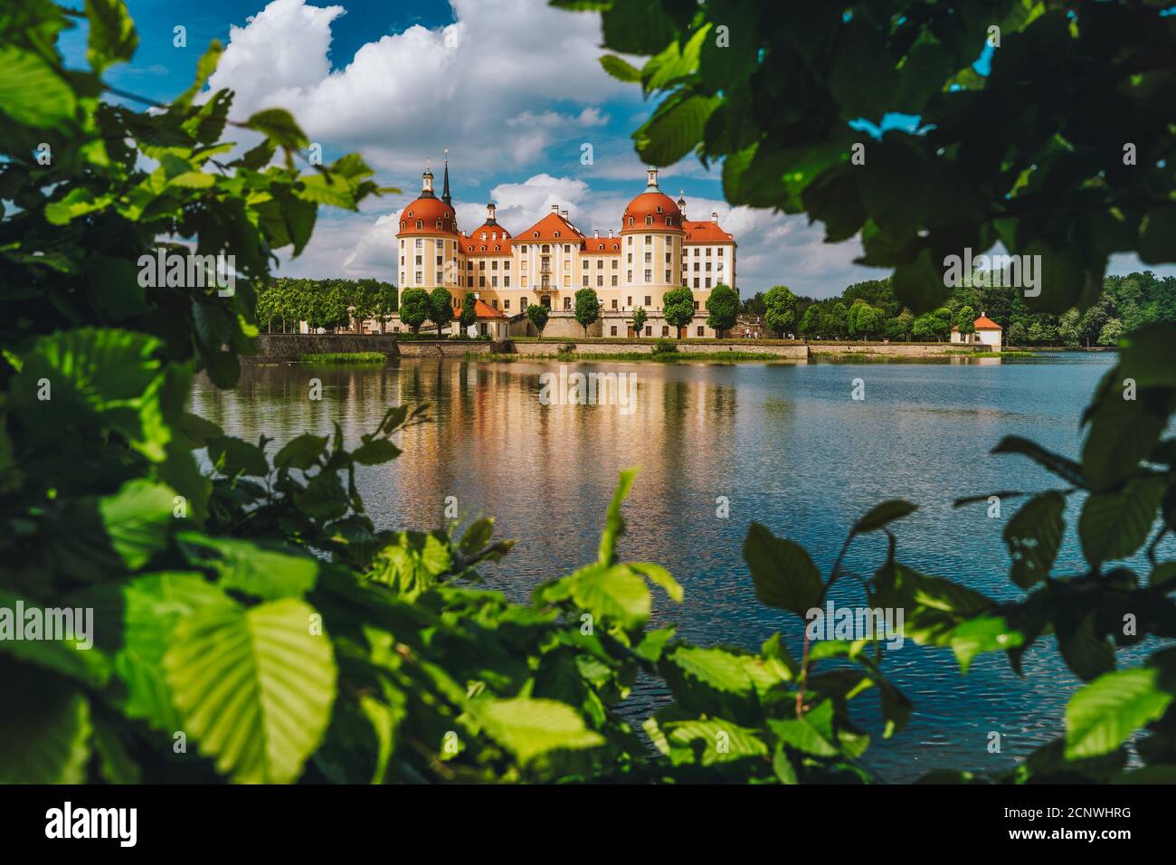 Schloss Moritzburg in Sachsen bei Dresden. Umrahmt von üppigem Laub im Vordergrund mit Spiegelung im Teich Springtime. Deutschland. Stockfoto