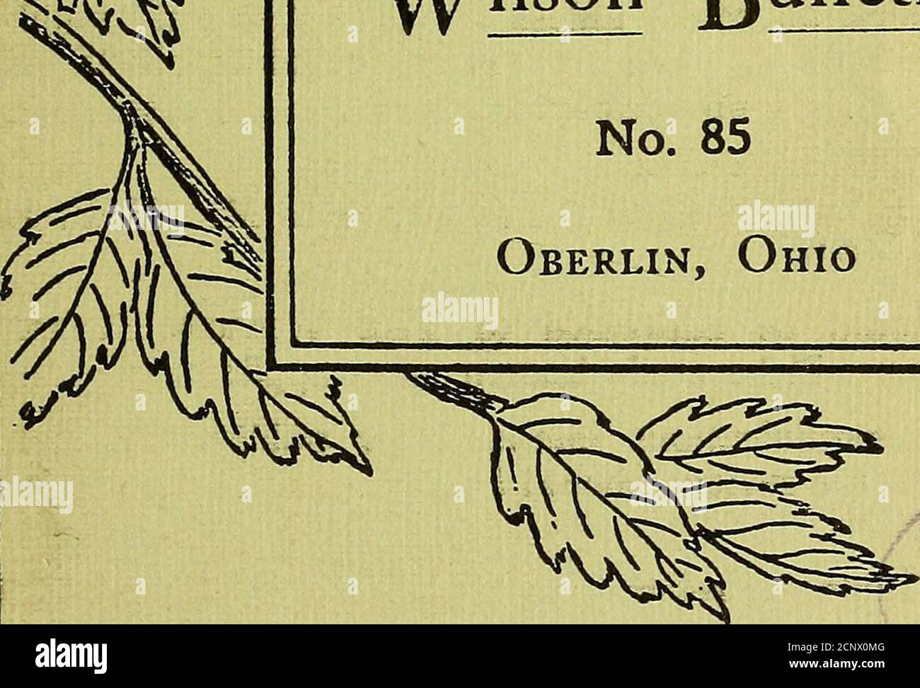 . Das Bulletin von Wilson . Vol. XXV DEC, 1913 No. 4 ^ilson Gullake No. 85Oberlin, Ohio. WILSON ORNITHOLOGICAL CLUB urheberrechtlich geschützt, 1913, von Lynds Jones INHALT Experimente in Fütterung Kolibris während Seven Summers . . Althea R. Sherman 153 ^est Life of the Catbird Ira N. Gabrielson 166 Vogelnotizen aus dem Südwesten J. L. Sloanaker 187 ungewöhnlicher Flug von Warblern im Missouri Valley T. C. Stephens 199 E^ditorial - 203 jeneral Notes: The Western Grebe in Ohio Geo. L. Fordyce 205 der Kardinal kommt nach Lansing, Iowa Althea R. Sherman 205 Korrespondenz 2(15 Veröffentlichungen überprüft. , .. 207 TH Stockfoto