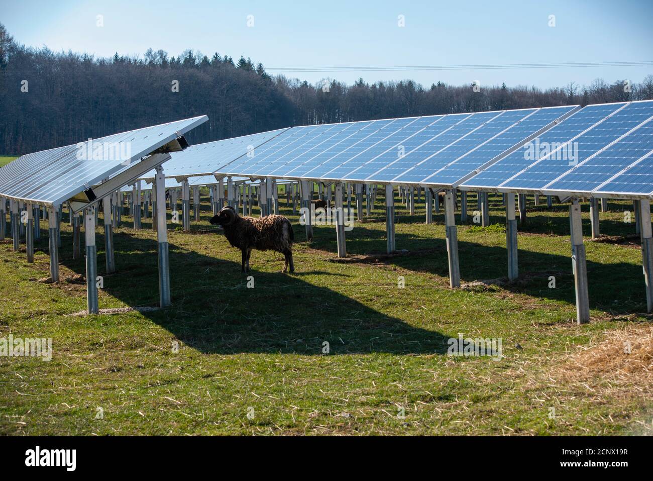 Solarfeld in Bollstadt, Bayern, Deutschland Stockfoto