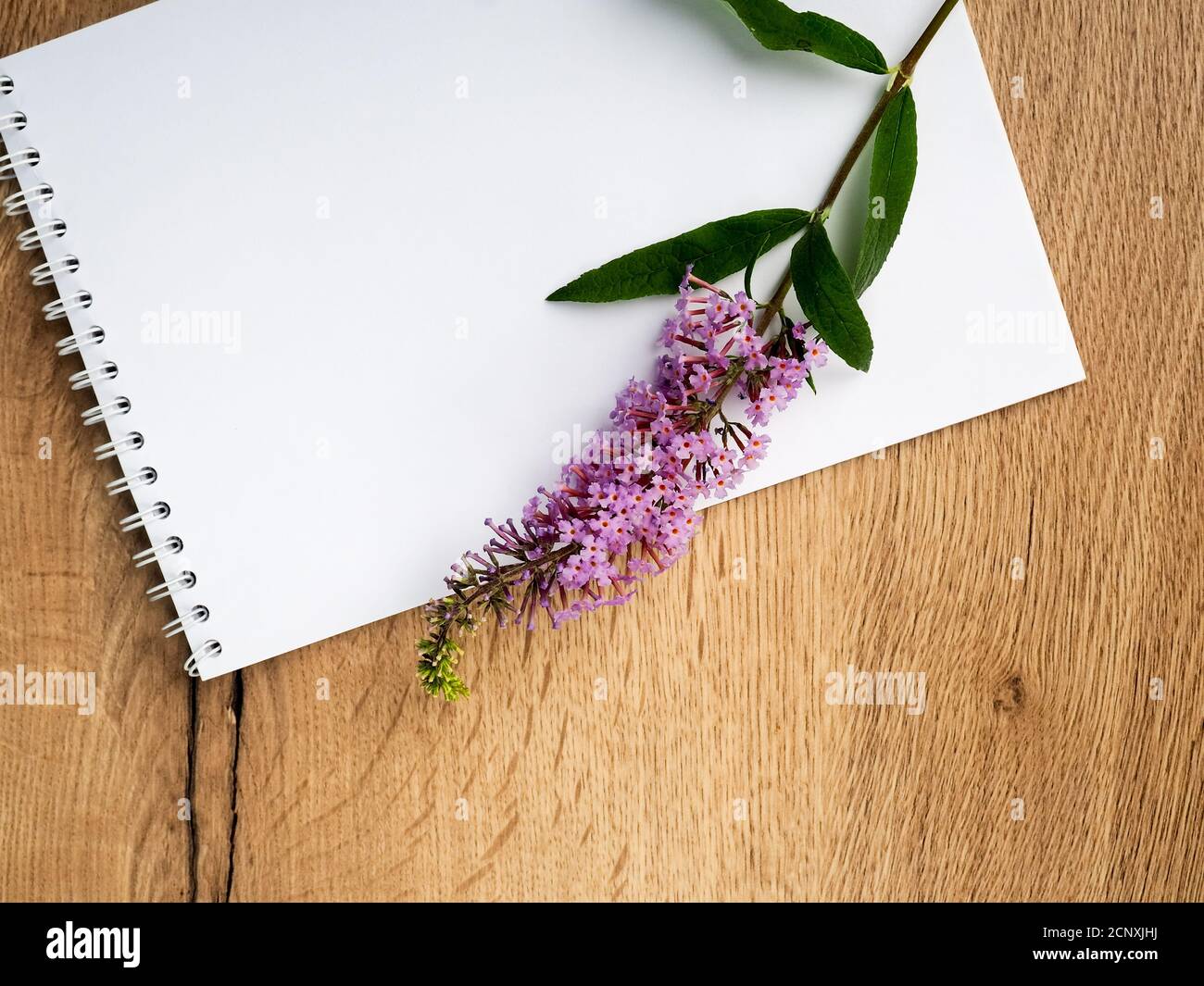 Eine Feldblume liegt auf einem Holztisch neben einem Notizbuch ein leeres Mockup. Unbeschriftete Notizbuch mit weißer Blume und Blumenkette auf Jahrgang Stockfoto