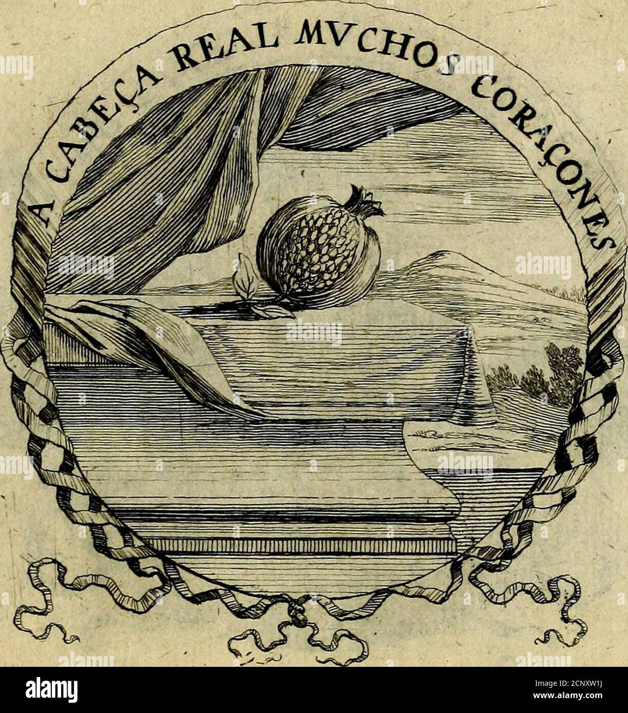 . Entwickelt heliqves et morales . DEVISES LA Grenade qui cft vne Reyne naturelle, efi:aux Roysôc auxReyncs, vne leçon véritable-ment royale SE naturelle. Elle a vne couronne , &CDES cœurs Fans nombre fous cette couronne : et parlà les Princes fontaduertis/quela Couronne eft vnecharge Fi pefante, & que les deuoirs en font Fi di-uers & en Fi Grand nombre, que pour bien portercette Charge, ÔC pour remplir dignement tous cesdeuoirs, es ist nicht möglich, sich mit dem system zu befreunden. Ein tcftc ro Stockfoto