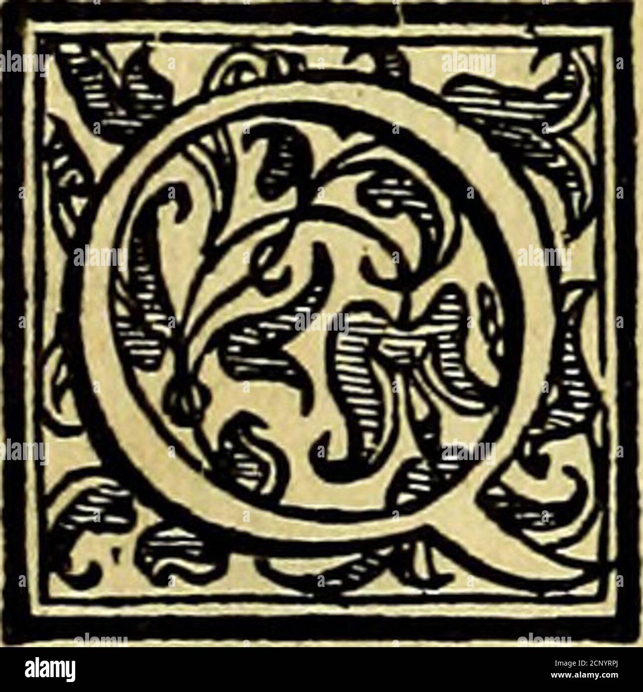 Luia Stockfotos Und Bilder Kaufen Alamy