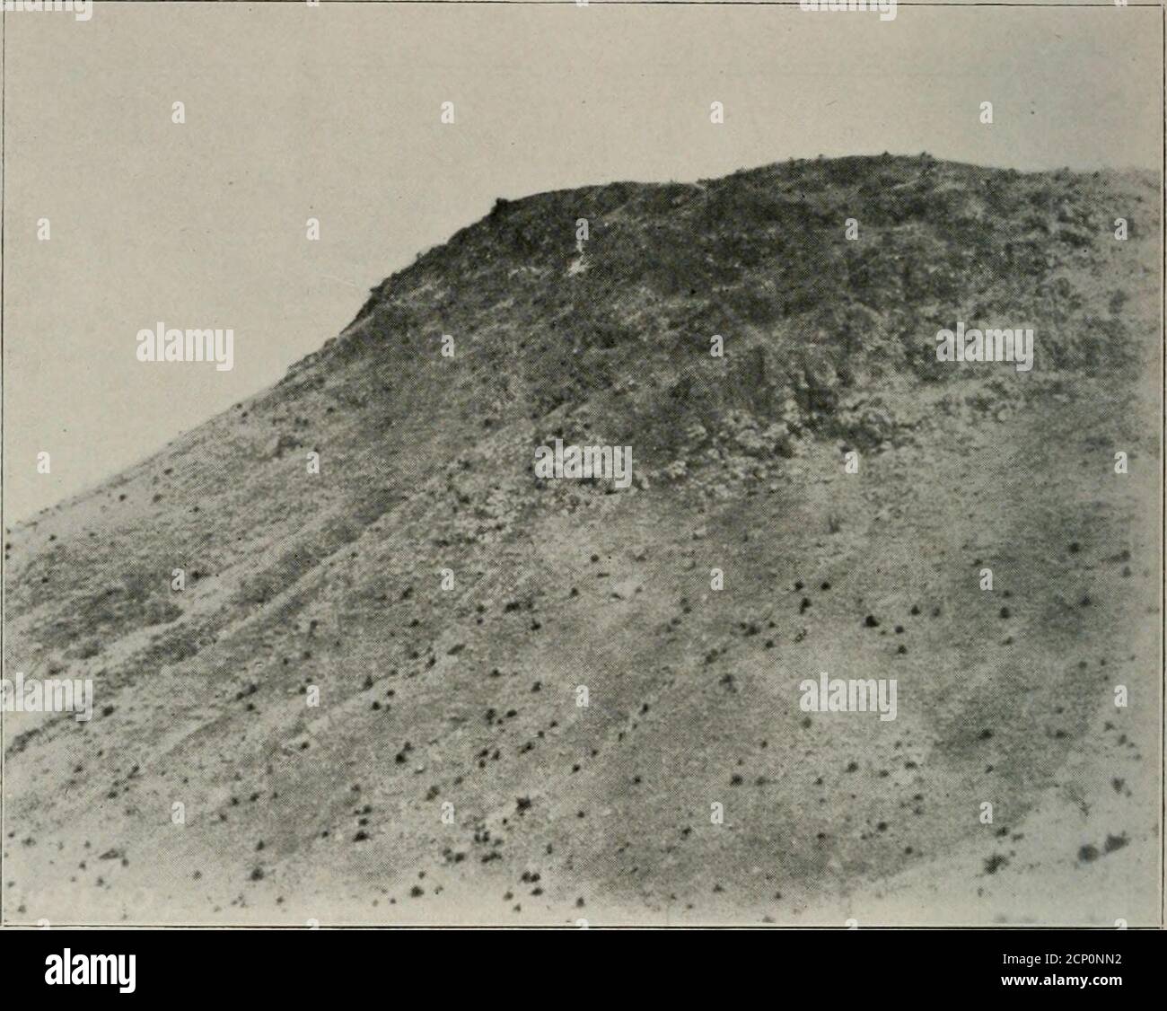 . Der Ruder . DER OOLOGIST. General View und Nesting Site of Golden Eagles, zeigt weiß gewaschenen Felsen. Foto aufgenommen in einem Abstand von einer halben Meile, von F. 0. Willard DER OOLOGIST DER GOLDENE ADLER IN COCHISECOUNTY, ARIZONA. Von F. C. Willard, Tombstone, Arizona., für einige Jahre, nachdem ich meine Residenz in Arizona aufgenommen hatte, machte ich eine unerfolgreiche Reihe von Bemühungen, den Goldenen Adler (aguilachrysaetos) zu lokaliseren. Vor dem Jahr 1910 hatte ich nur zwei gefunden. Eines war ein verlassenes Nest in Ramsay Kanon der Huachuca Berge, und das andere war auf einer unzugänglichen Klippe inCarr Kanon der gleichen Berge. Zoll Stockfoto
