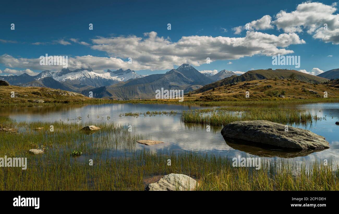 Landschaft mit flores im Vordergrund und Berge Croix de Fer im Hintergrund in den französischen Alpen Stockfoto