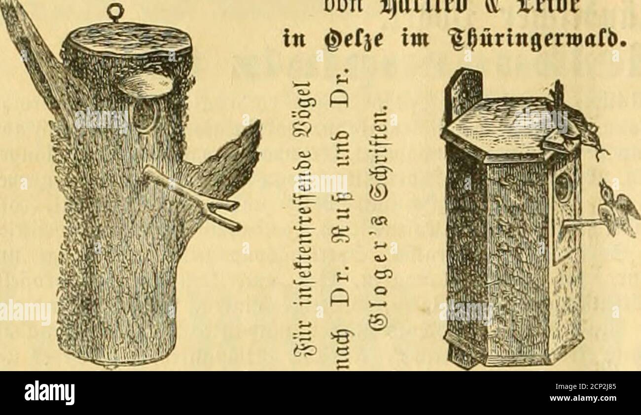. The gefiederte Welt . ftcl. ^xxpfe^£e: ^rima 3)onipiaffen, 2 Sieber fingcnb, foroie au§ meiner3ut!^t E^)einer englifdjer Sfiöpfe, fteinfte Sraffe, 1 i 11 ärdjen,20 2ßod)en alt, Stufe 15 ./(, .fiünbin^./i, foroie.fünde, ^18 gaufen. 3?CI Slnfragen g-reimartebeifügen. [178] Ludwig Hildebrand, «d)liid)tcrn, 3t.=23. Fiaffel. Zu ziehen durcti alle Buchhandlungen wie ^auch direkt von der Verlagsbuchhandlung gegen iAEinsendung des Betrachters : ^ TsMicli ier SlBivielpiiie, ib -AörlcMiii lll -ZiCM. Ich mit 1 chromolithogr. Tafel und zahlenreichen Holzschnitten. Vo Stockfoto